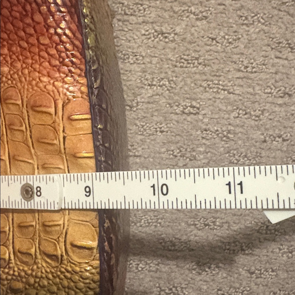 Brahmin Autumn Ombre Mini Melbourne - Picture 12 of 13